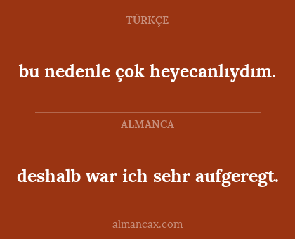 deshalb war ich sehr aufgeregt. - bu nedenle çok heyecanlıydım.