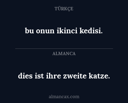 bu onun ikinci kedisi. - dies ist ihre zweite katze.