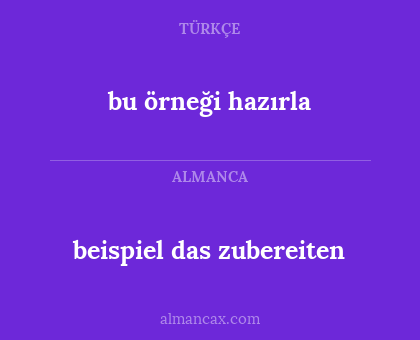 beispiel das zubereiten - bu örneği hazırla
