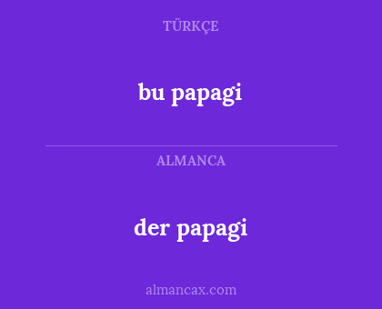 bu papagi - der papagi