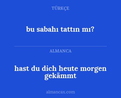 hast du dich heute morgen gekämmt - bu sabahı tattın mı?