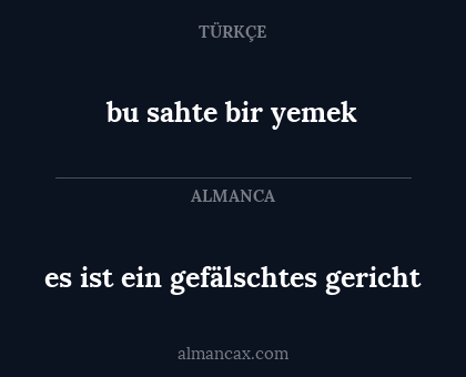 bu sahte bir yemek - es ist ein gefälschtes gericht