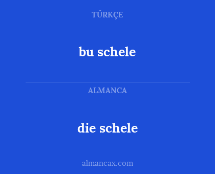 die schele - bu schele