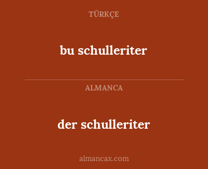 der schulleriter - bu schulleriter