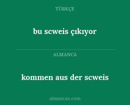 bu scweis çıkıyor - kommen aus der scweis