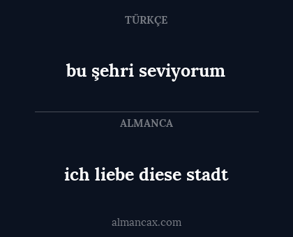bu şehri seviyorum - ich liebe diese stadt