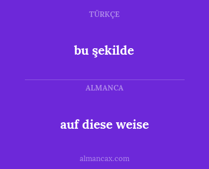 bu şekilde - auf diese weise