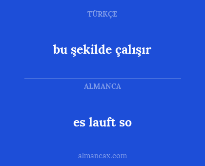 bu şekilde çalışır - es lauft so
