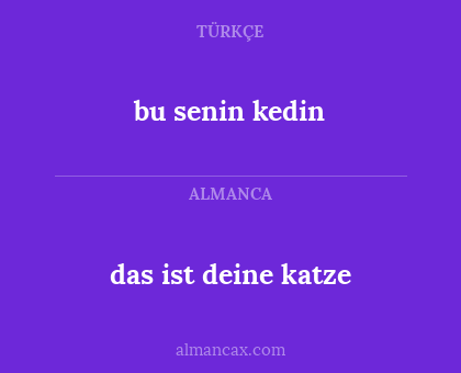 das ist deine katze - bu senin kedin