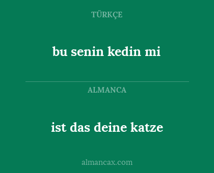 ist das deine katze - bu senin kedin mi