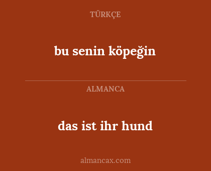 das ist ihr hund - bu senin köpeğin