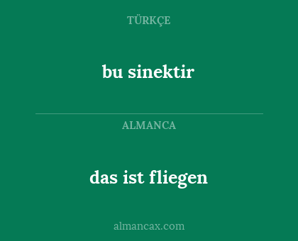 das ist fliegen - bu sinektir