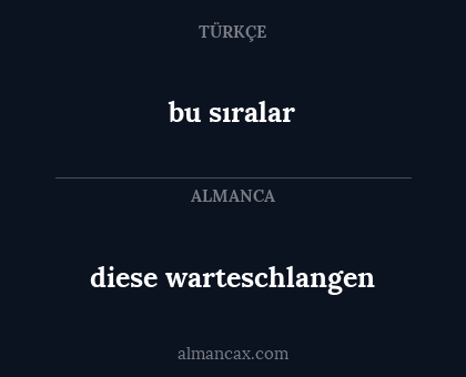 diese warteschlangen - bu sıralar