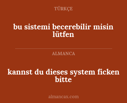 kannst du dieses system ficken bitte - bu sistemi becerebilir misin lütfen