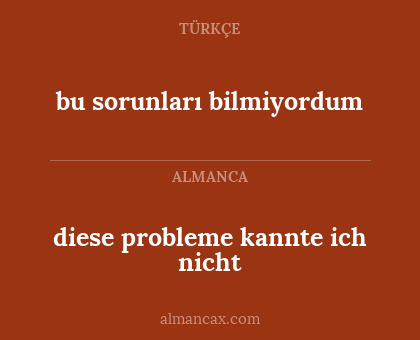 bu sorunları bilmiyordum - diese probleme kannte ich nicht
