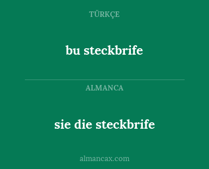 bu steckbrife - sie die steckbrife