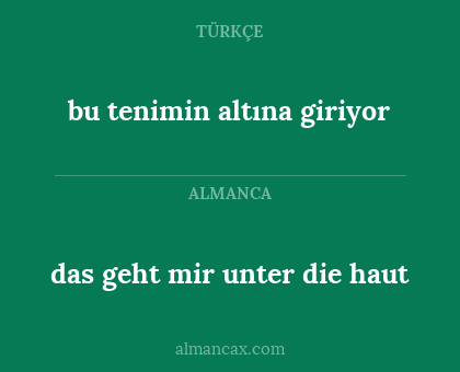 bu tenimin altına giriyor - das geht mir unter die haut