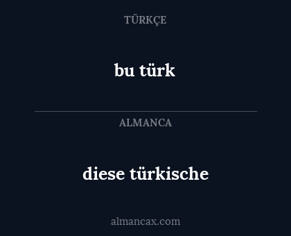 bu türk - diese türkische