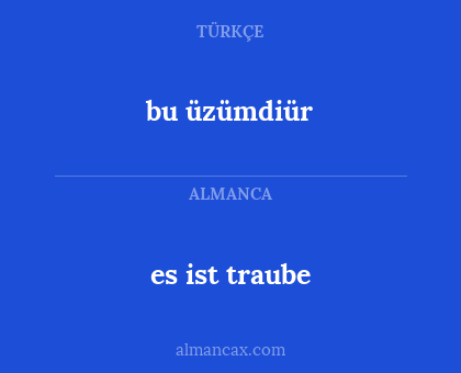 bu üzümdiür - es ist traube