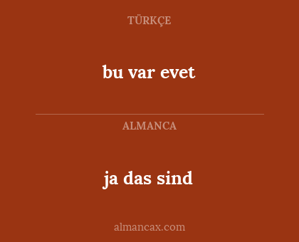 bu var evet - ja das sind