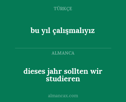 dieses jahr sollten wir studieren - bu yıl çalışmalıyız