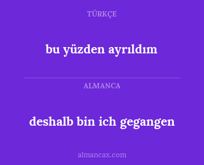 deshalb bin ich gegangen - bu yüzden ayrıldım