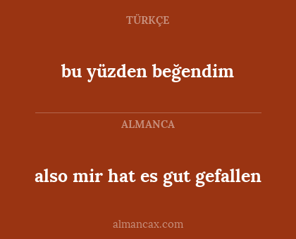bu yüzden beğendim - also mir hat es gut gefallen
