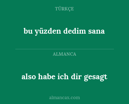 also habe ich dir gesagt - bu yüzden dedim sana