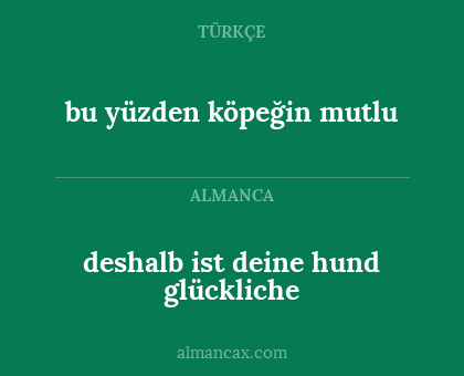 bu yüzden köpeğin mutlu - deshalb ist deine hund glückliche