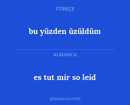 es tut mir so leid - bu yüzden üzüldüm
