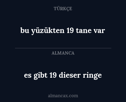es gibt 19 dieser ringe - bu yüzükten 19 tane var