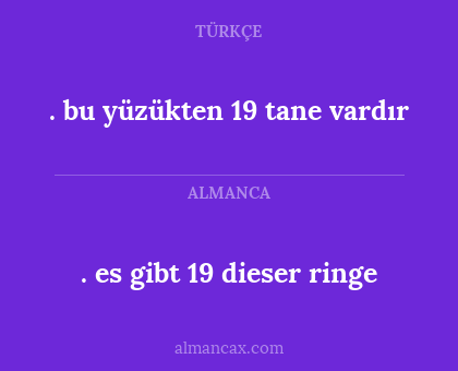 . es gibt 19 dieser ringe - . bu yüzükten 19 tane vardır