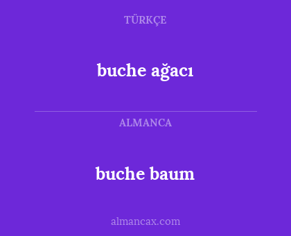 buche baum - buche ağacı