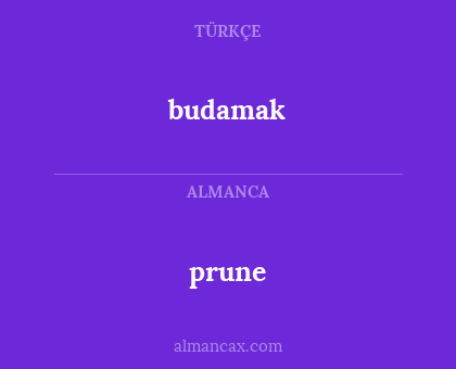 prune - budamak