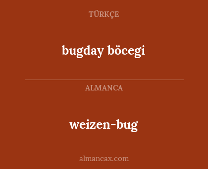 bugday böcegi - weizen-bug