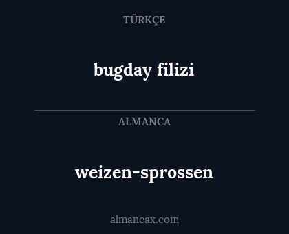 weizen-sprossen - bugday filizi