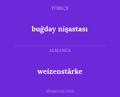 weizenstärke - buğday nişastası