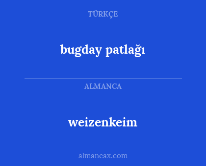 weizenkeim - bugday patlağı