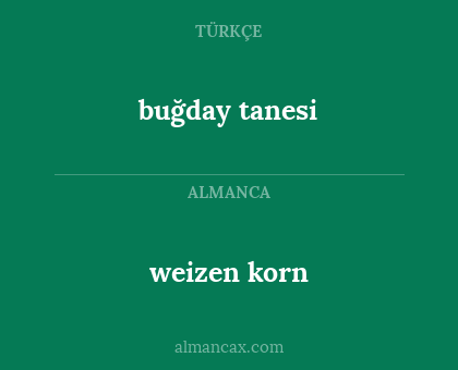 weizen korn - buğday tanesi