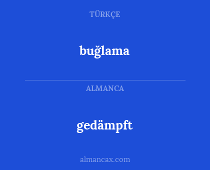 gedämpft - buğlama