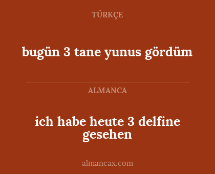 ich habe heute 3 delfine gesehen - bugün 3 tane yunus gördüm