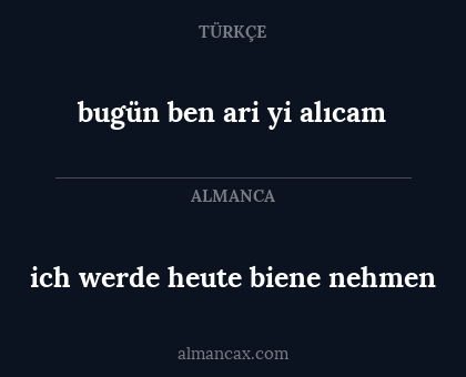 ich werde heute biene nehmen - bugün ben ari yi alıcam