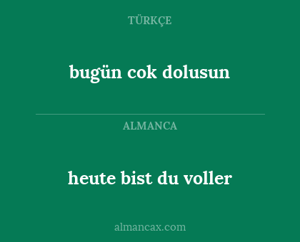 heute bist du voller - bugün cok dolusun