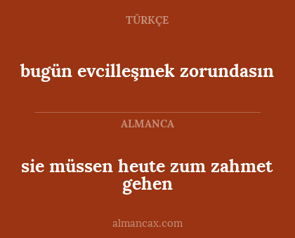bugün evcilleşmek zorundasın - sie müssen heute zum zahmet gehen
