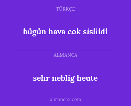 bügün hava cok sisliidi - sehr neblig heute