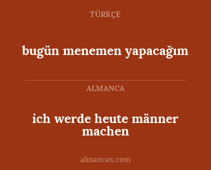 bugün menemen yapacağım - ich werde heute männer machen