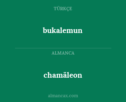 chamäleon - bukalemun