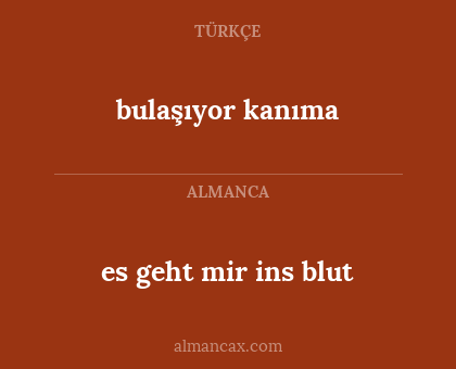 bulaşıyor kanıma - es geht mir ins blut