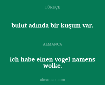 bulut adında bir kuşum var. - ich habe einen vogel namens wolke.