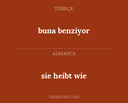 buna benziyor - sie heibt wie